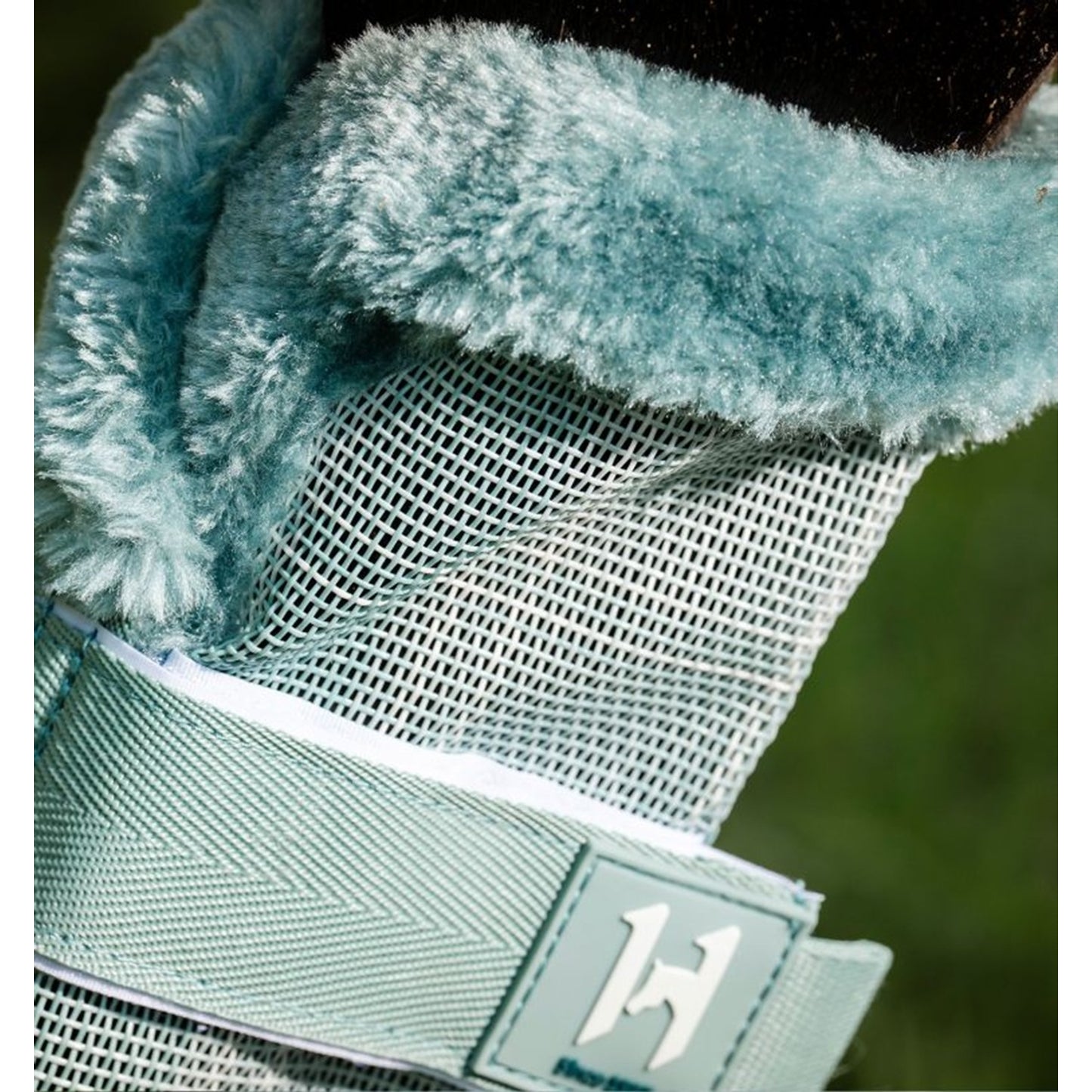 4-511589-2.jpg