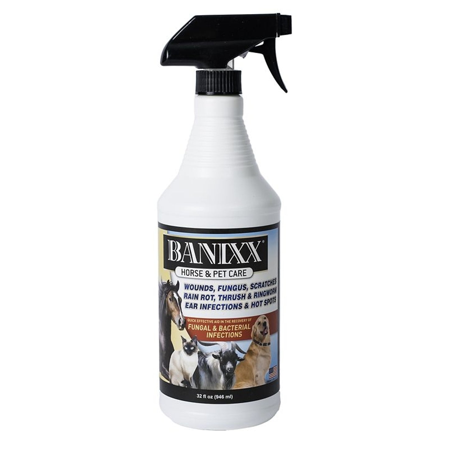 TE005392_271058_01.jpg