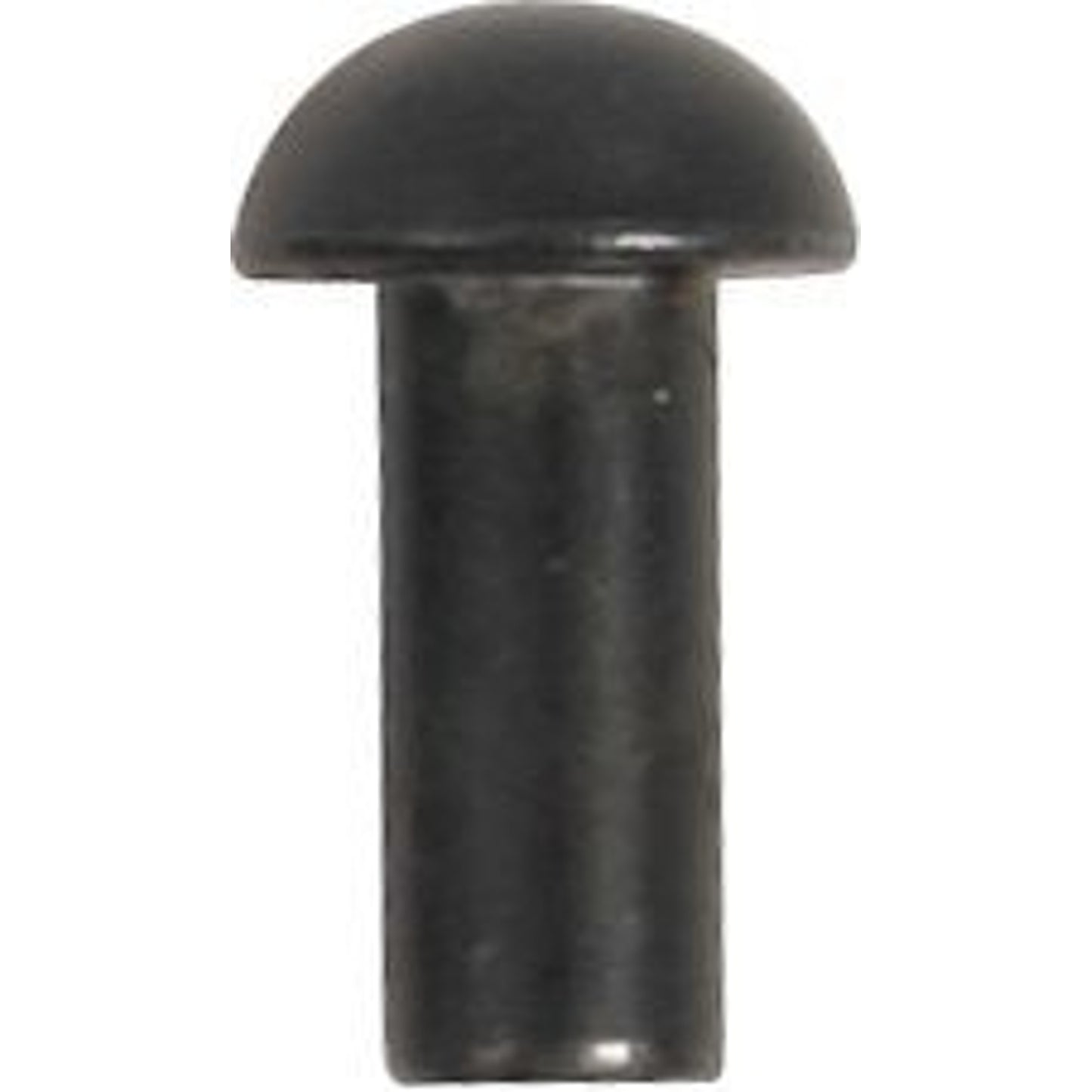 TH1338095.jpg