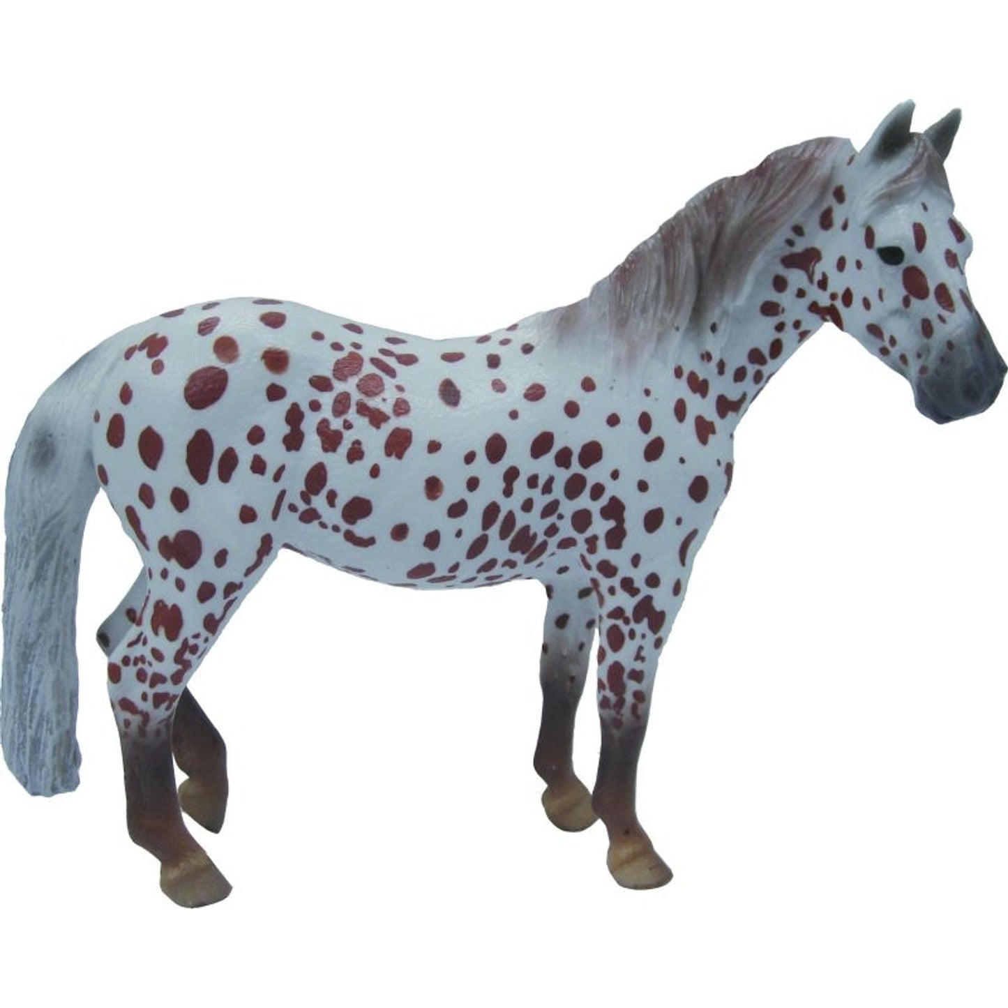 TH1448560.jpg