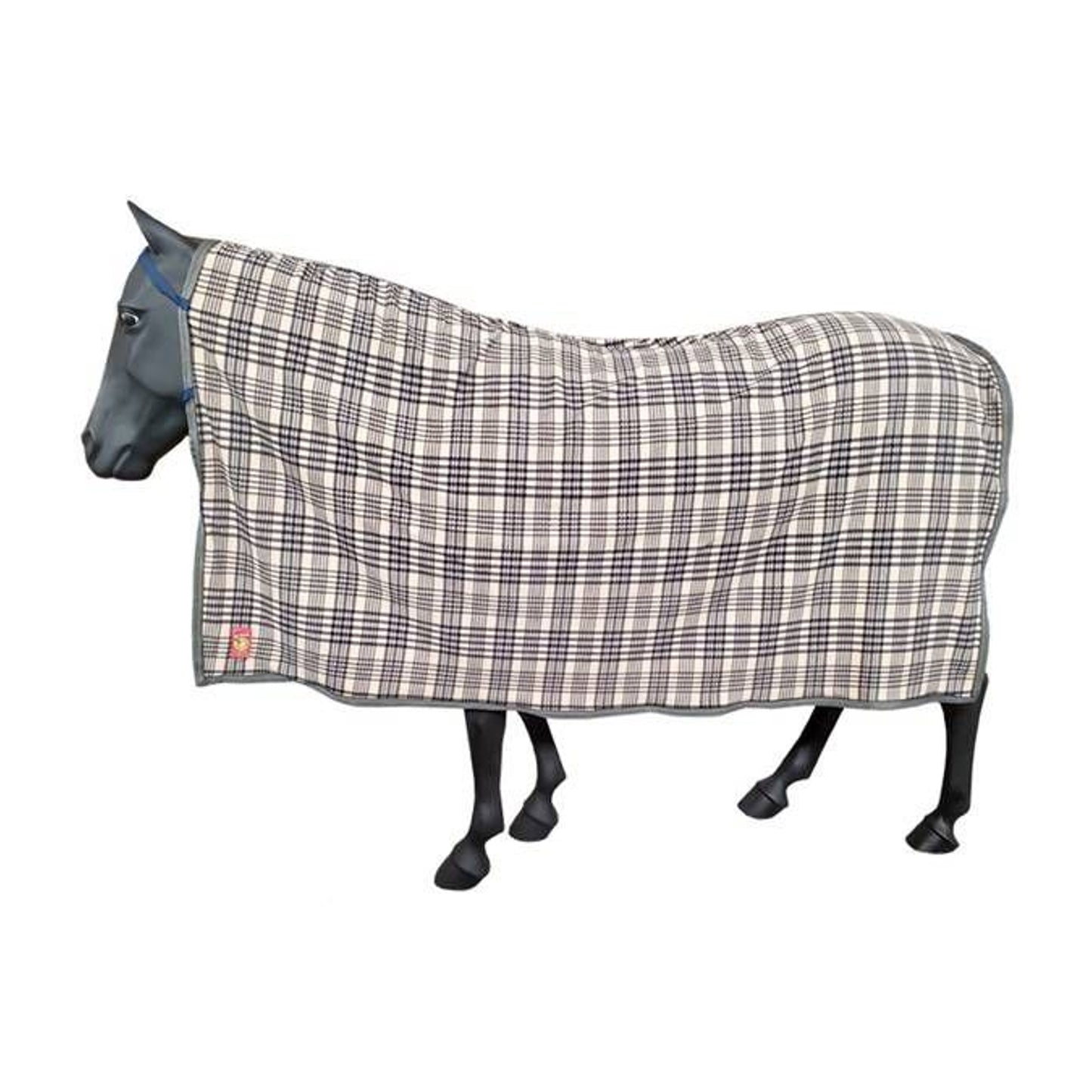 TH1655679_P.jpg