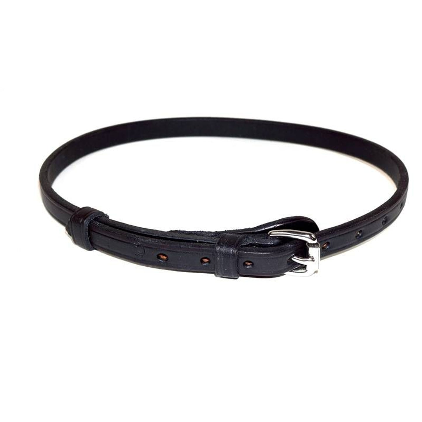 TH1720522_P.jpg