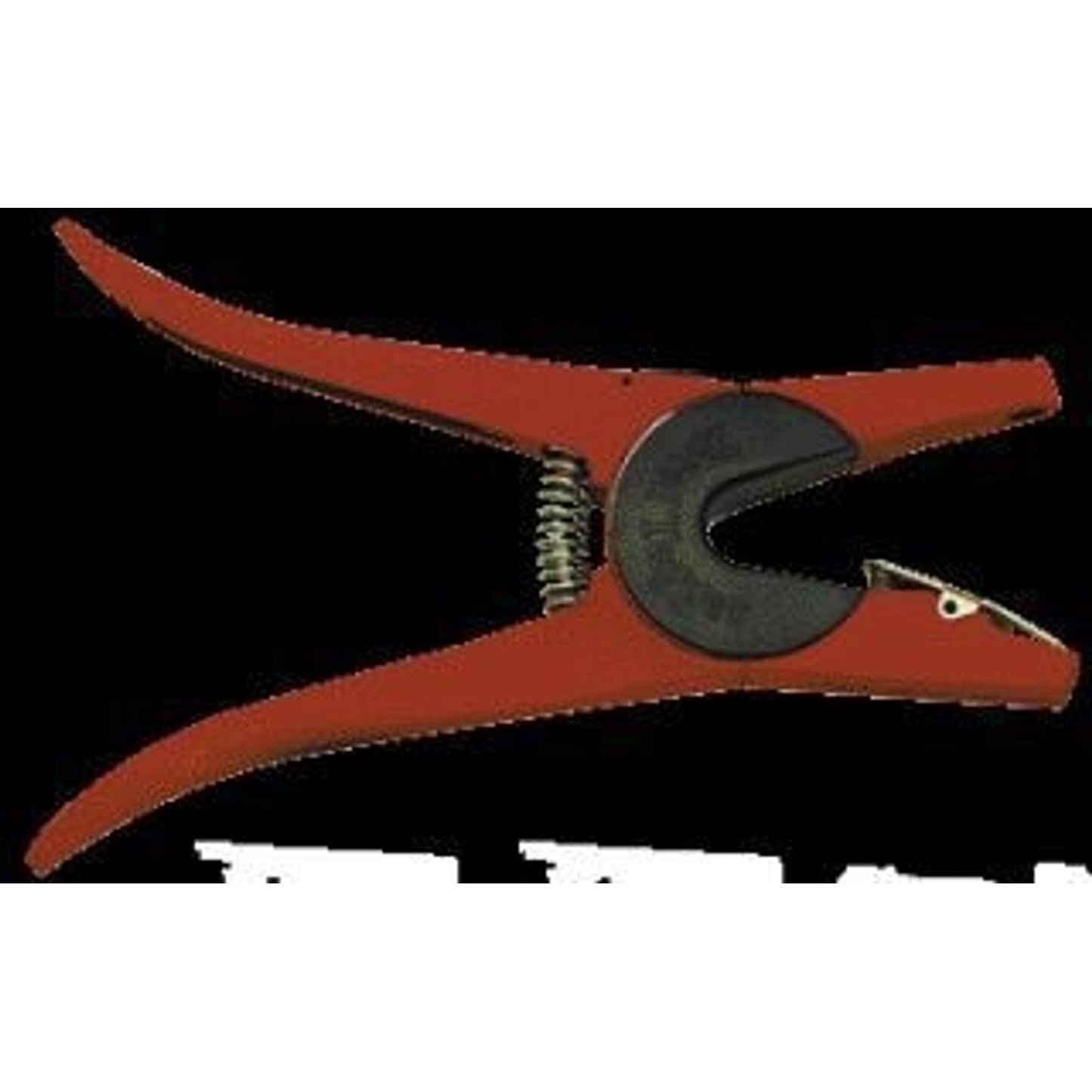TH237100.jpg