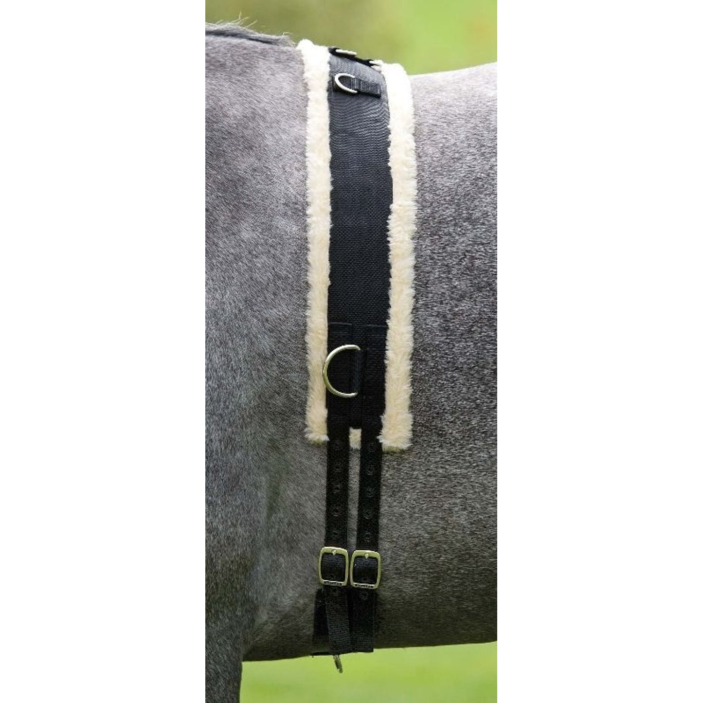 TH883654.jpg