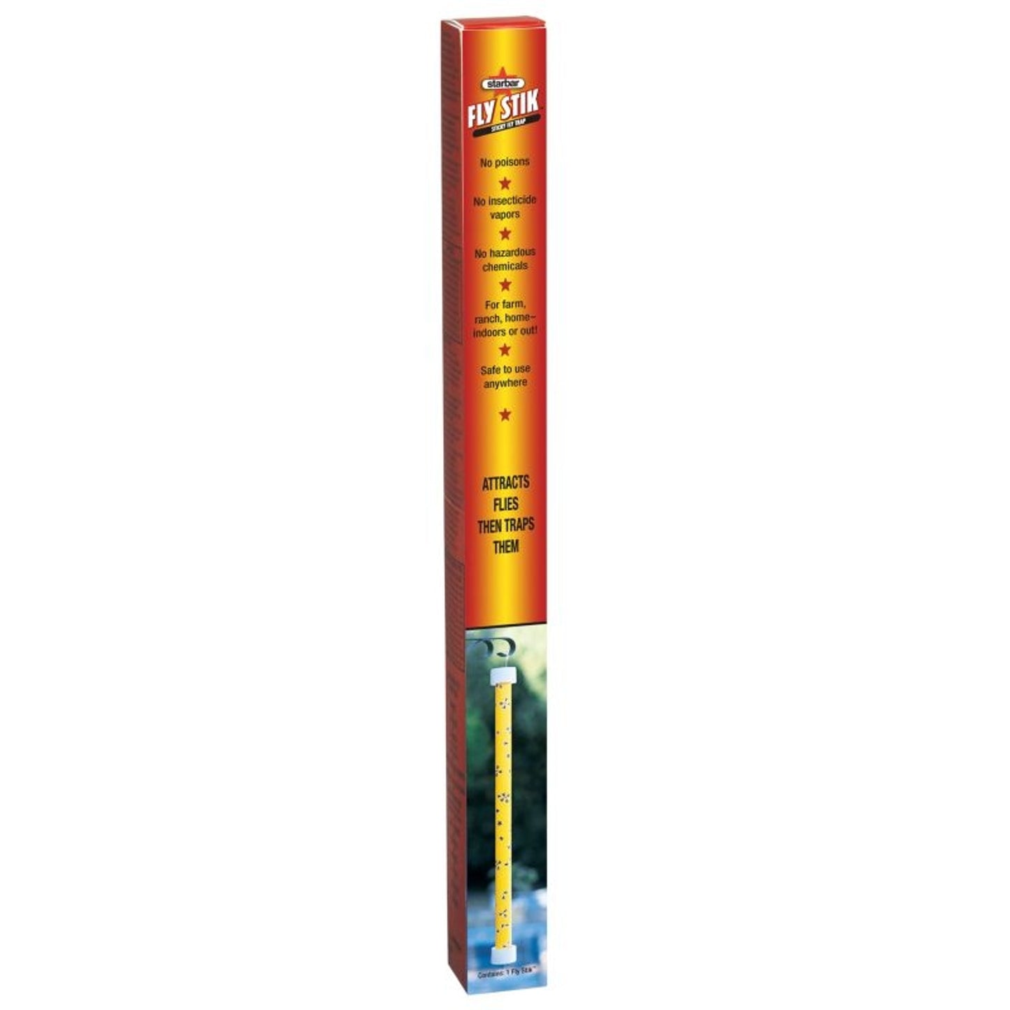 TSLT300094.jpg