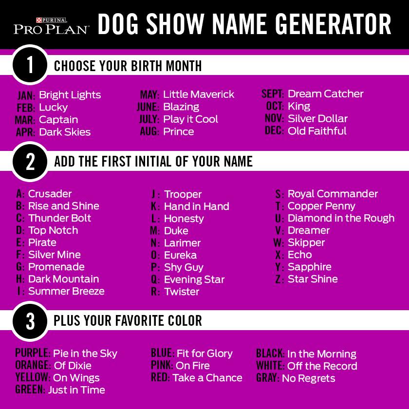 Show Dog Name Generator - lotteryfasr