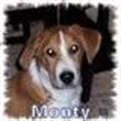 montysmama