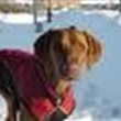 RubyRoo