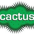 CactusTV