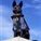 Amazing Tuppy Dog