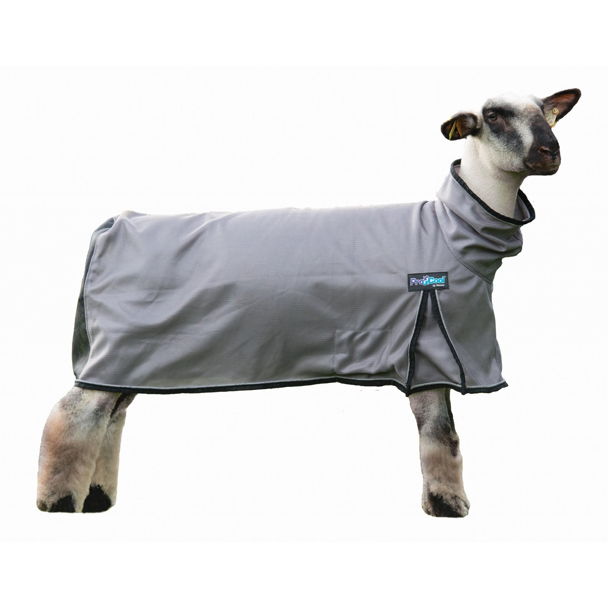 Weaver ProCool Sheep Blanket with Reflective Piping