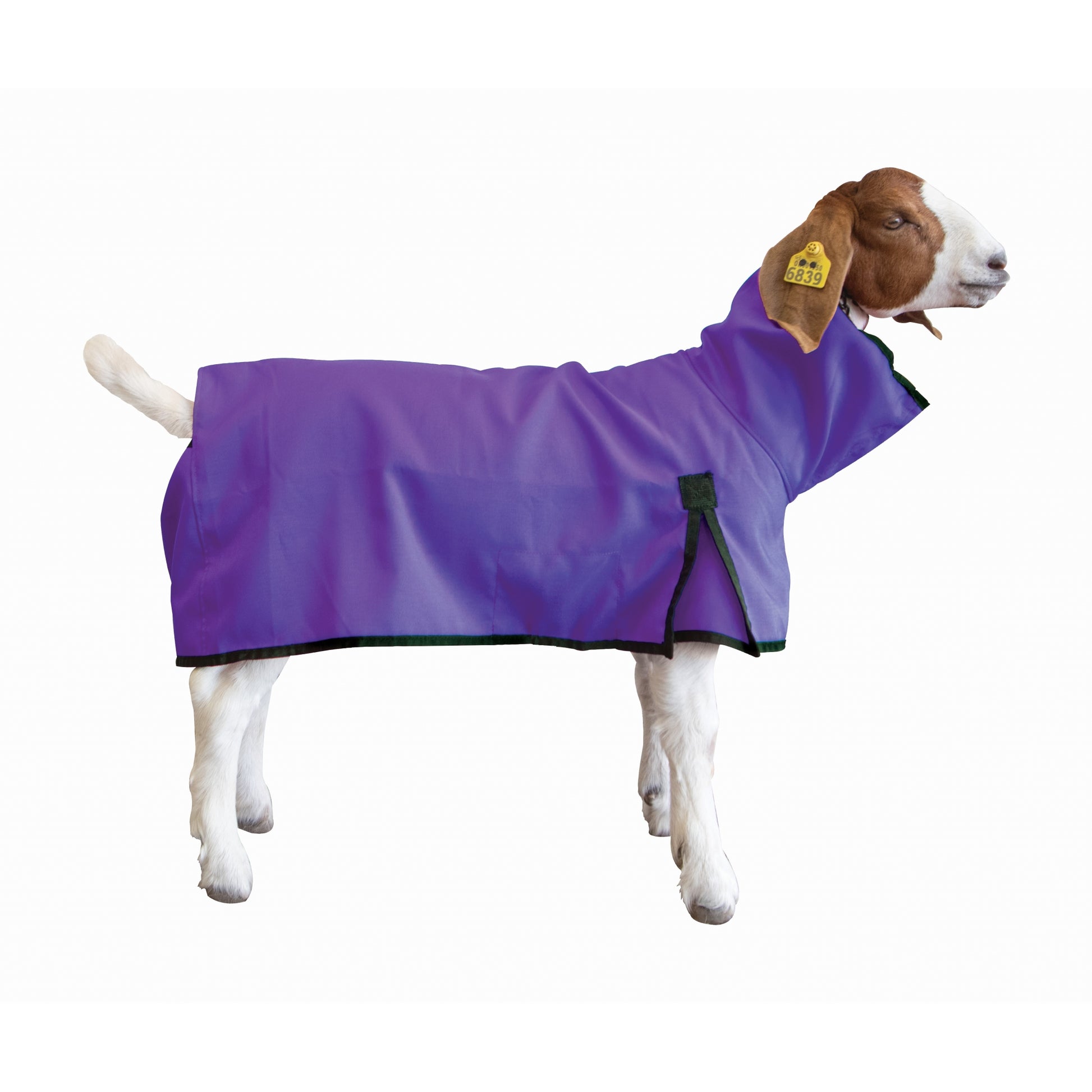 Weaver Nylon Goat Blanket