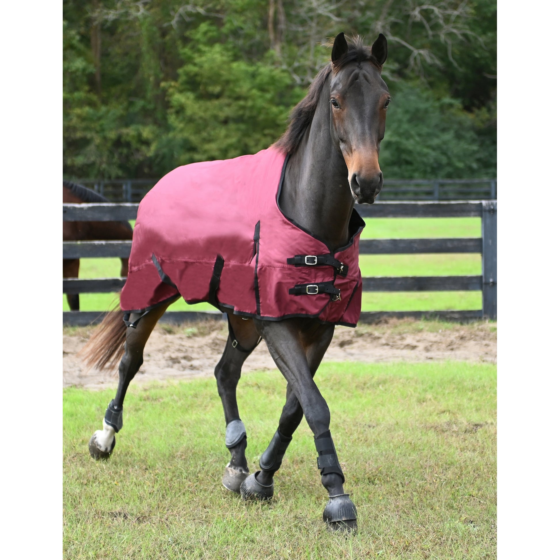 Gatsby Premium 1200D WP Turnout Blanket