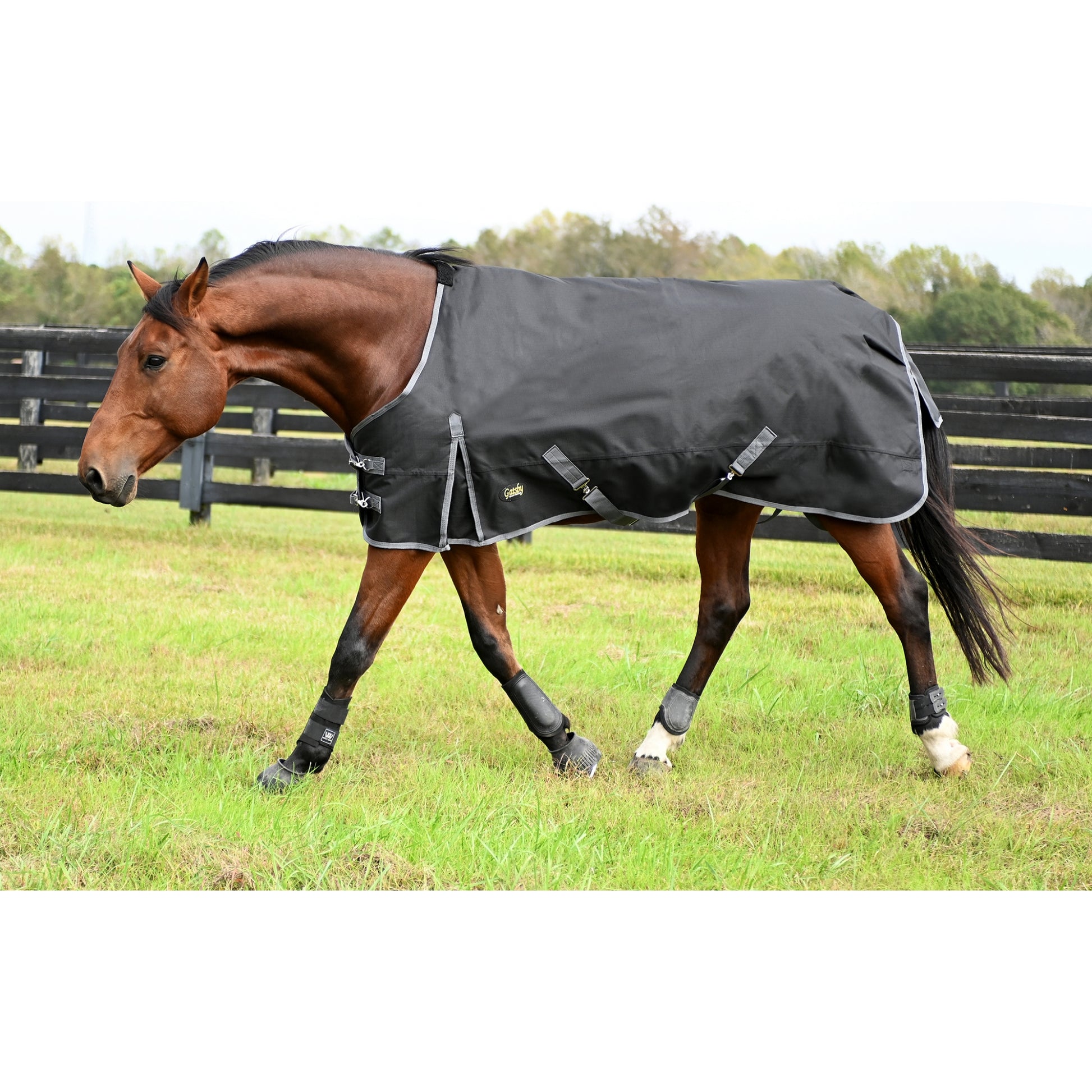 Gatsby Premium 1200D WP Turnout Blanket