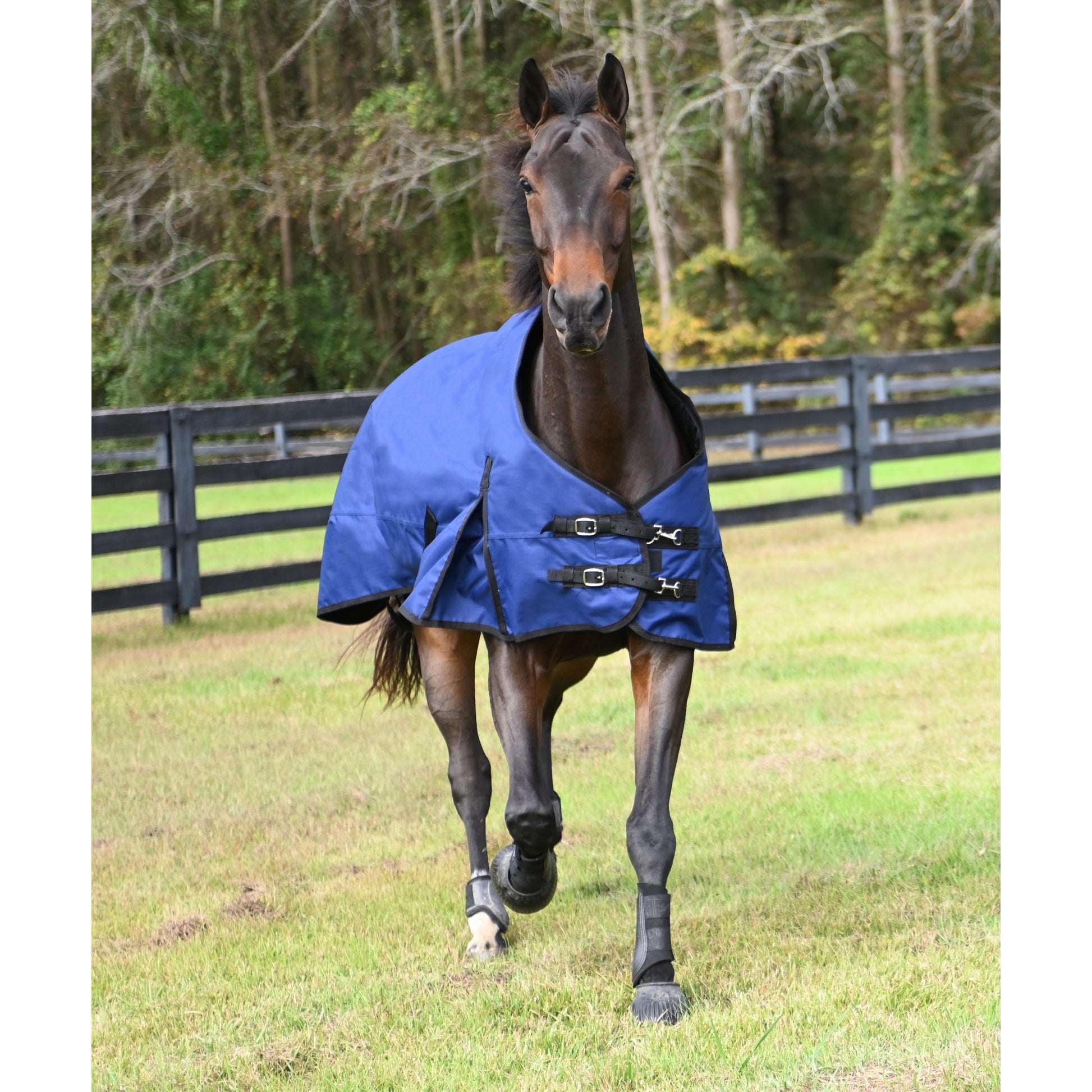 Gatsby Premium 1200D WP Turnout Blanket