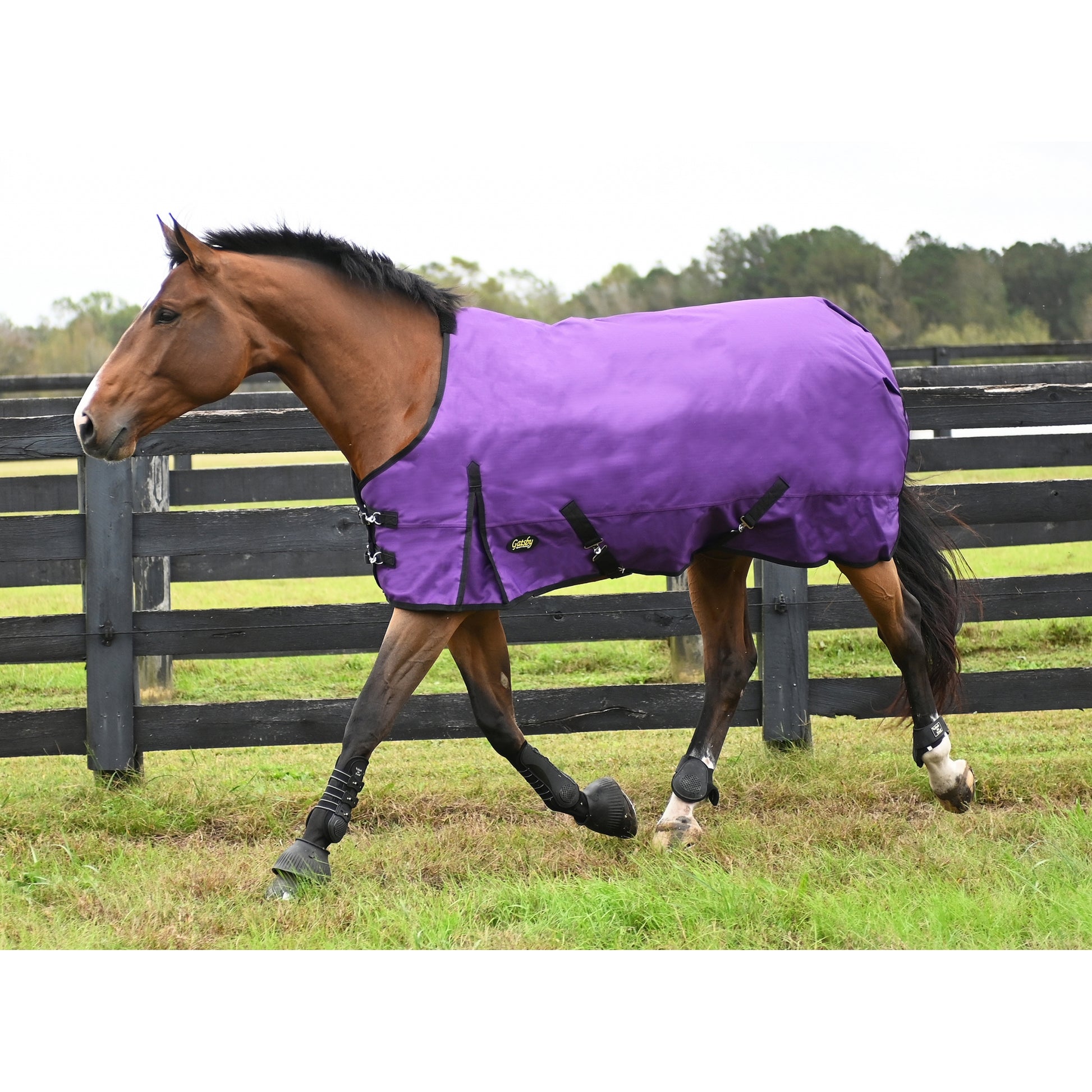 Gatsby Premium 1200D WP Turnout Blanket