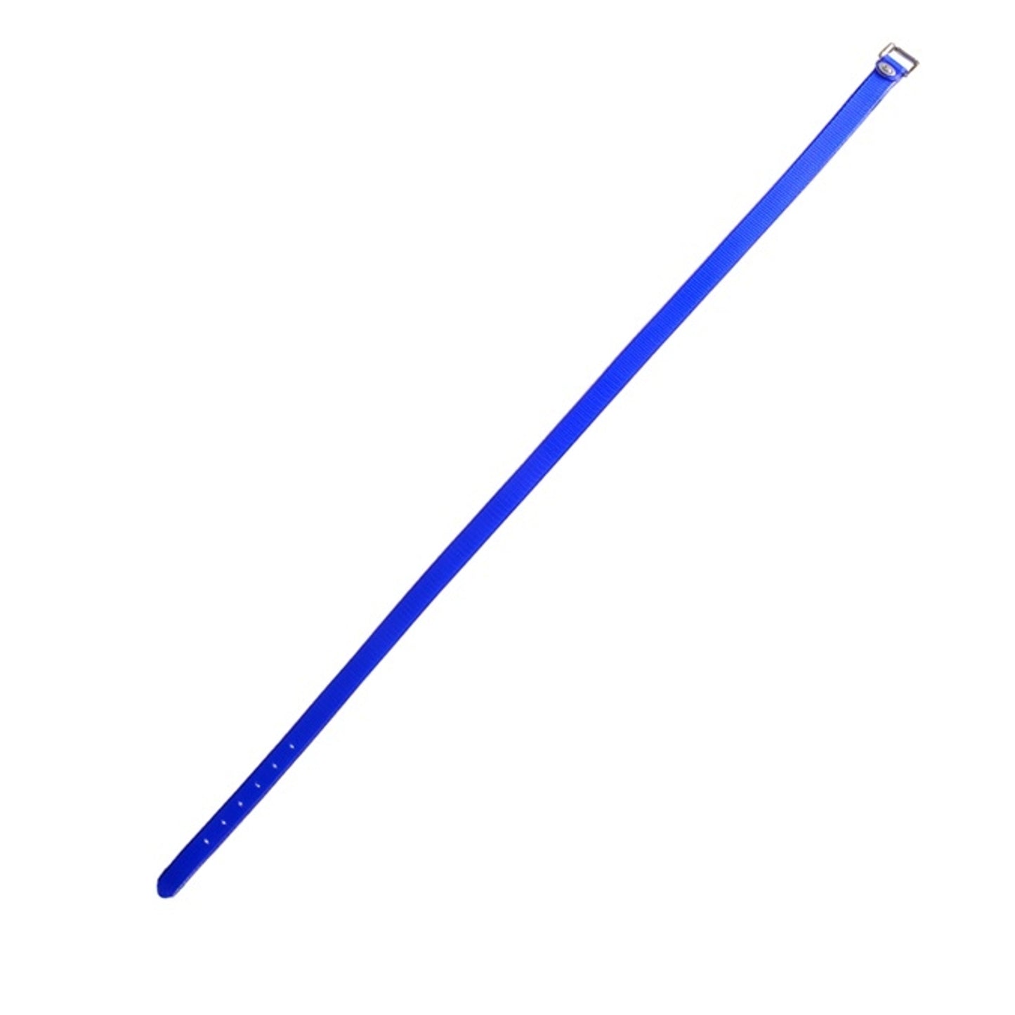 4-212318.jpg