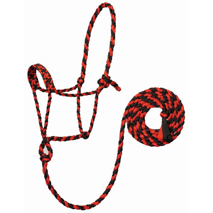 Weaver Braided Rope Halter with 10' Lead