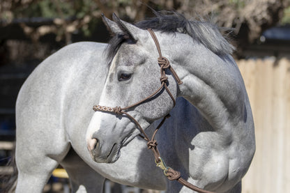 Kensington Clinician Rope Halter