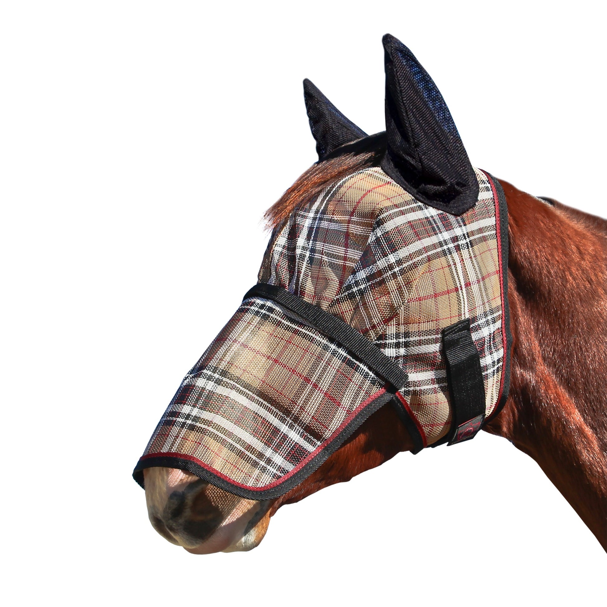 Kensington Mask with Nose and Ears