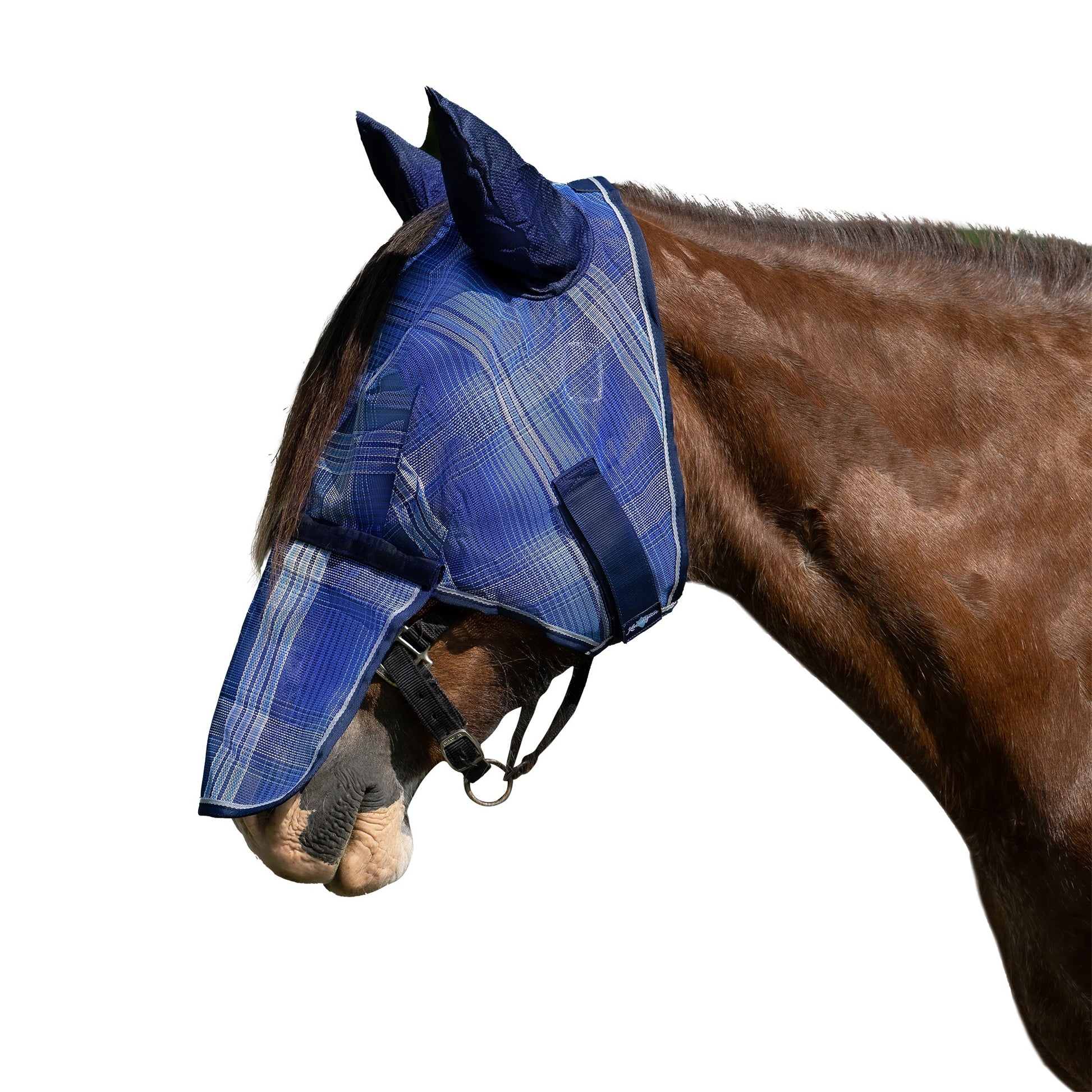 Kensington Mask with Nose and Ears