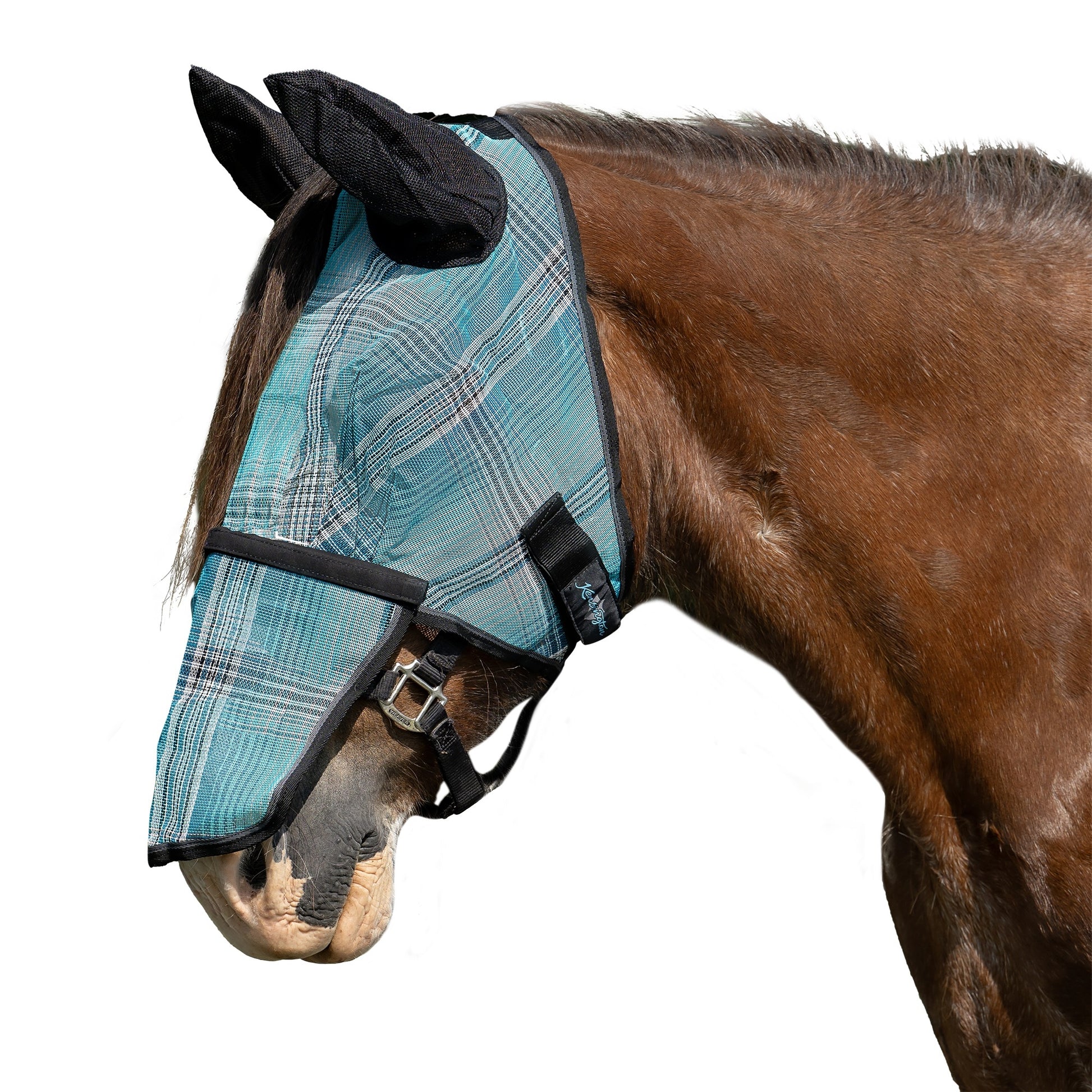 Kensington Mask with Nose and Ears