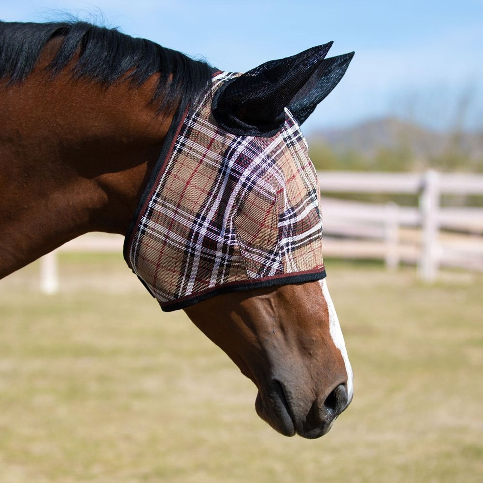 Kensington Fly Mask Web Trim/Ears
