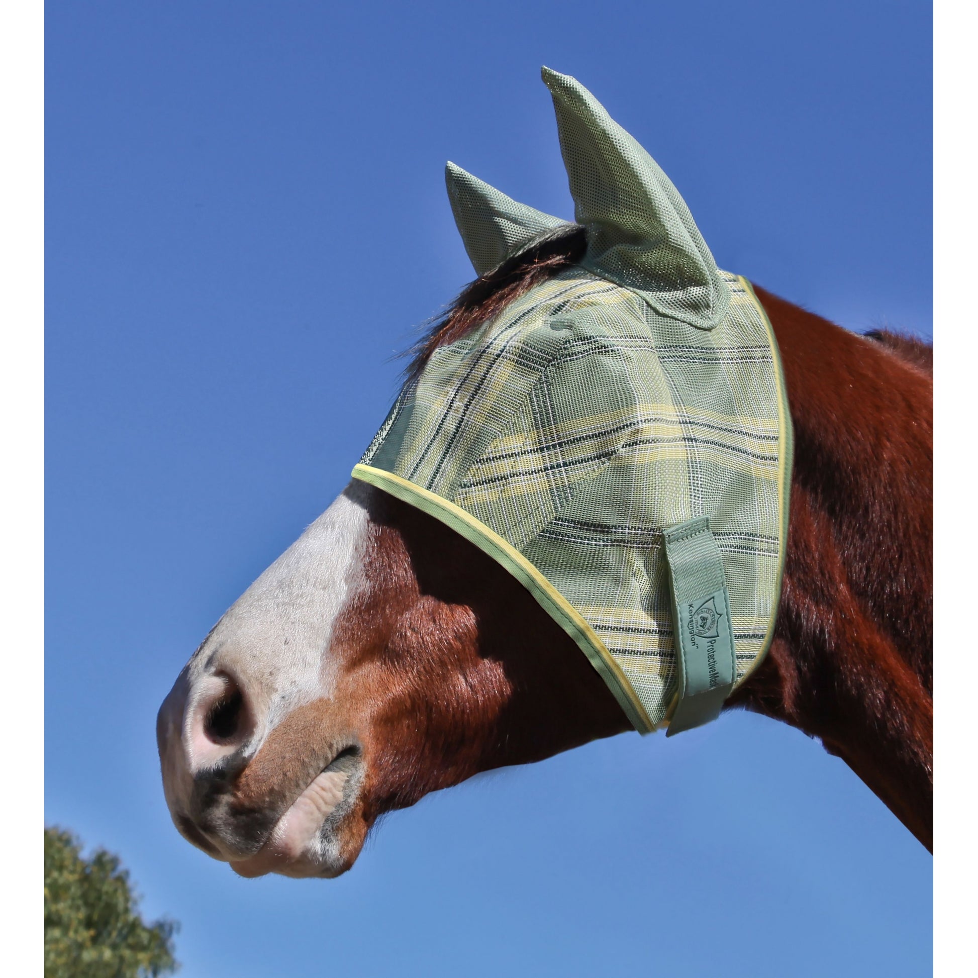 Kensington Fly Mask Web Trim/Ears