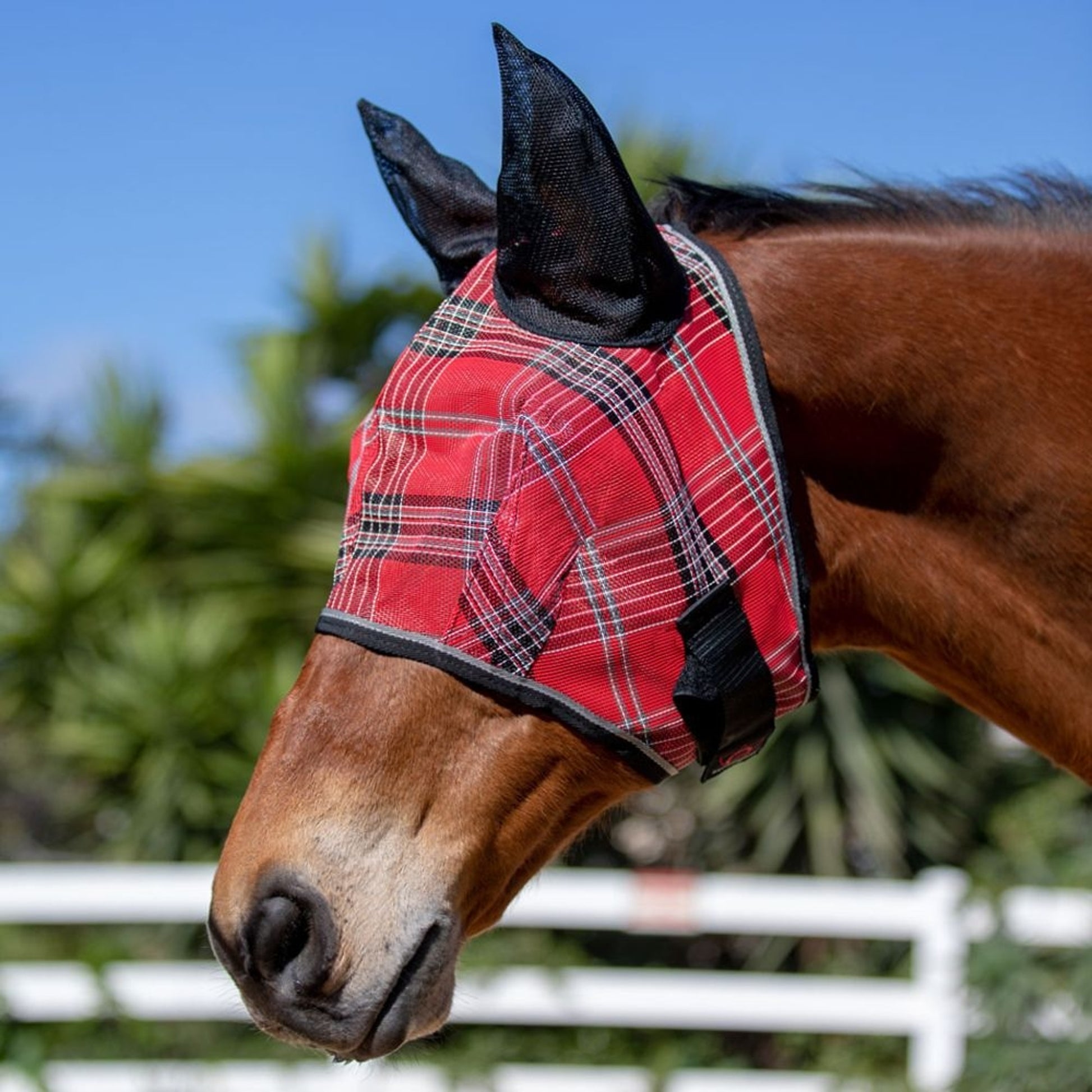 Kensington Fly Mask Web Trim/Ears