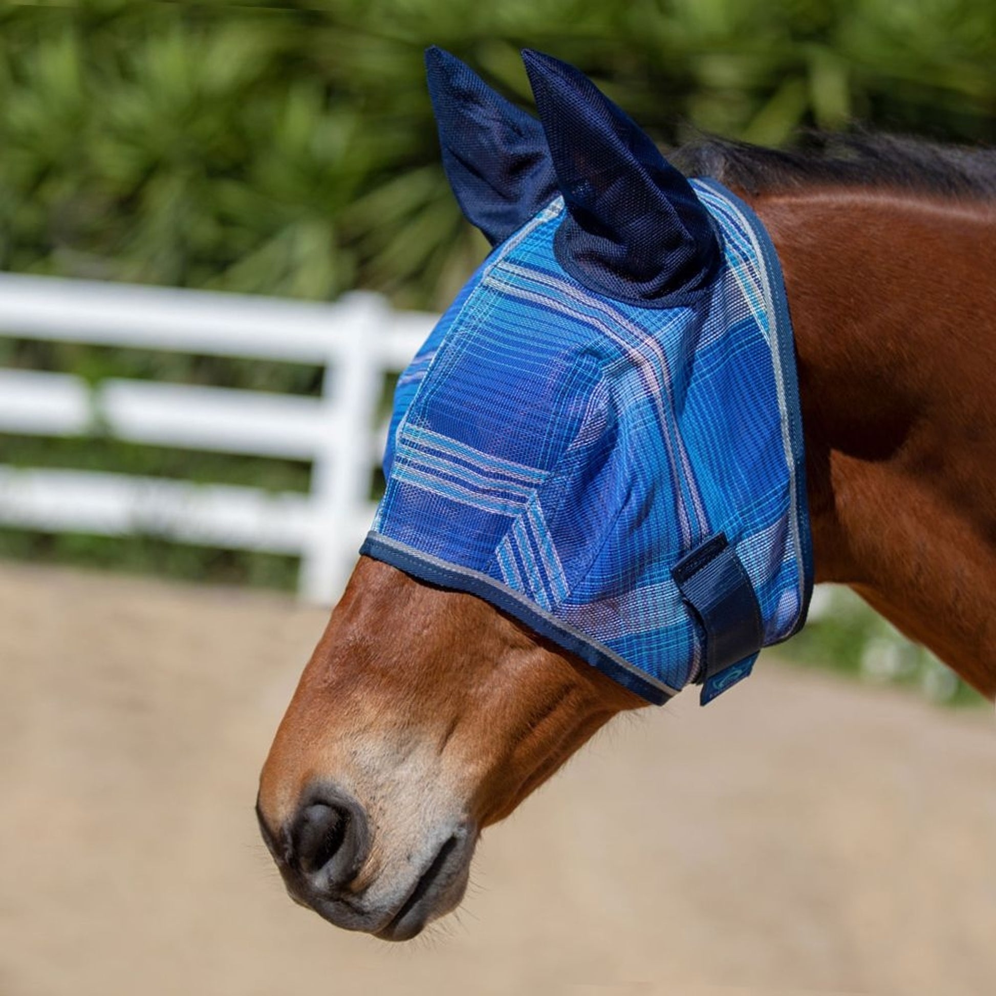 Kensington Fly Mask Web Trim/Ears