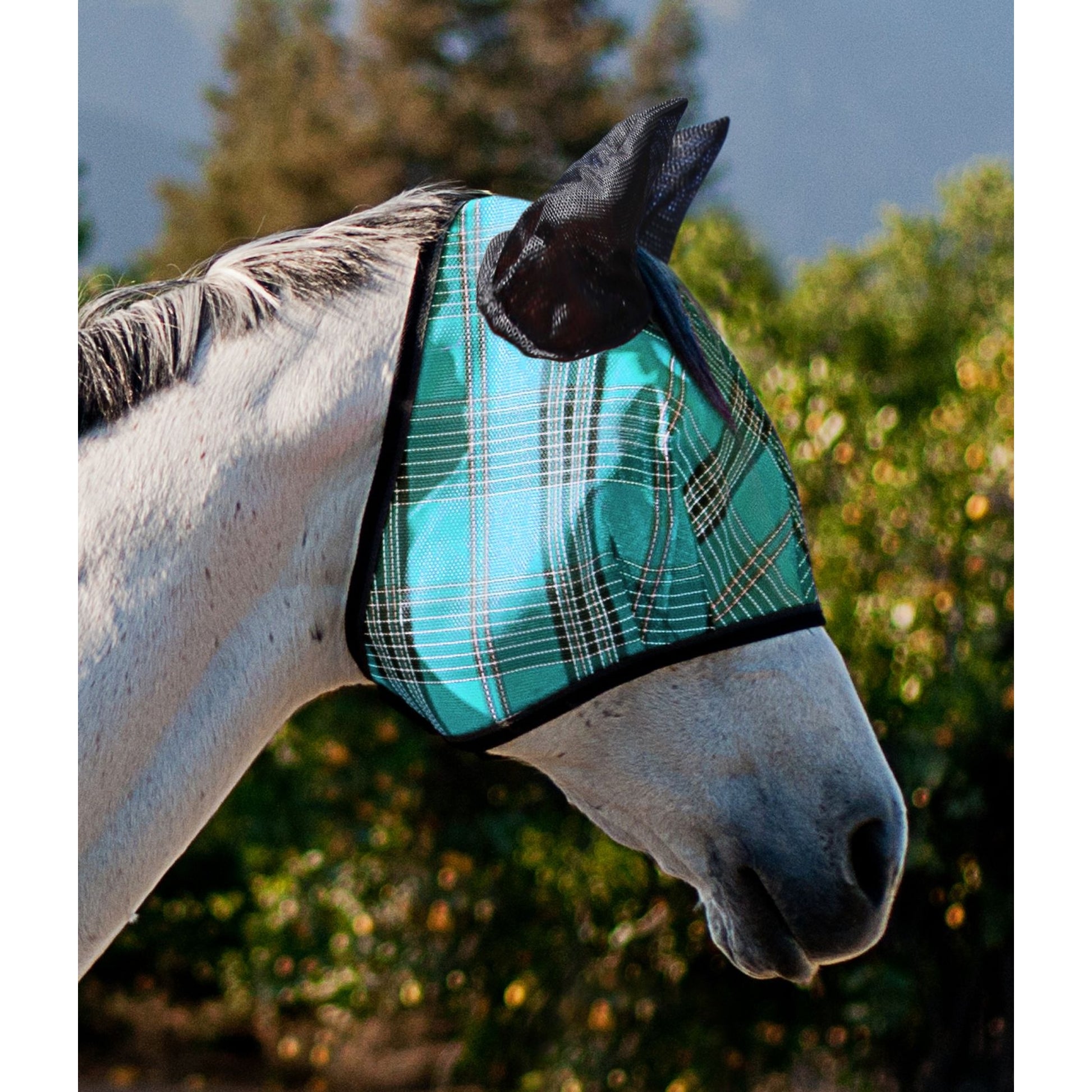 Kensington Fly Mask Web Trim/Ears