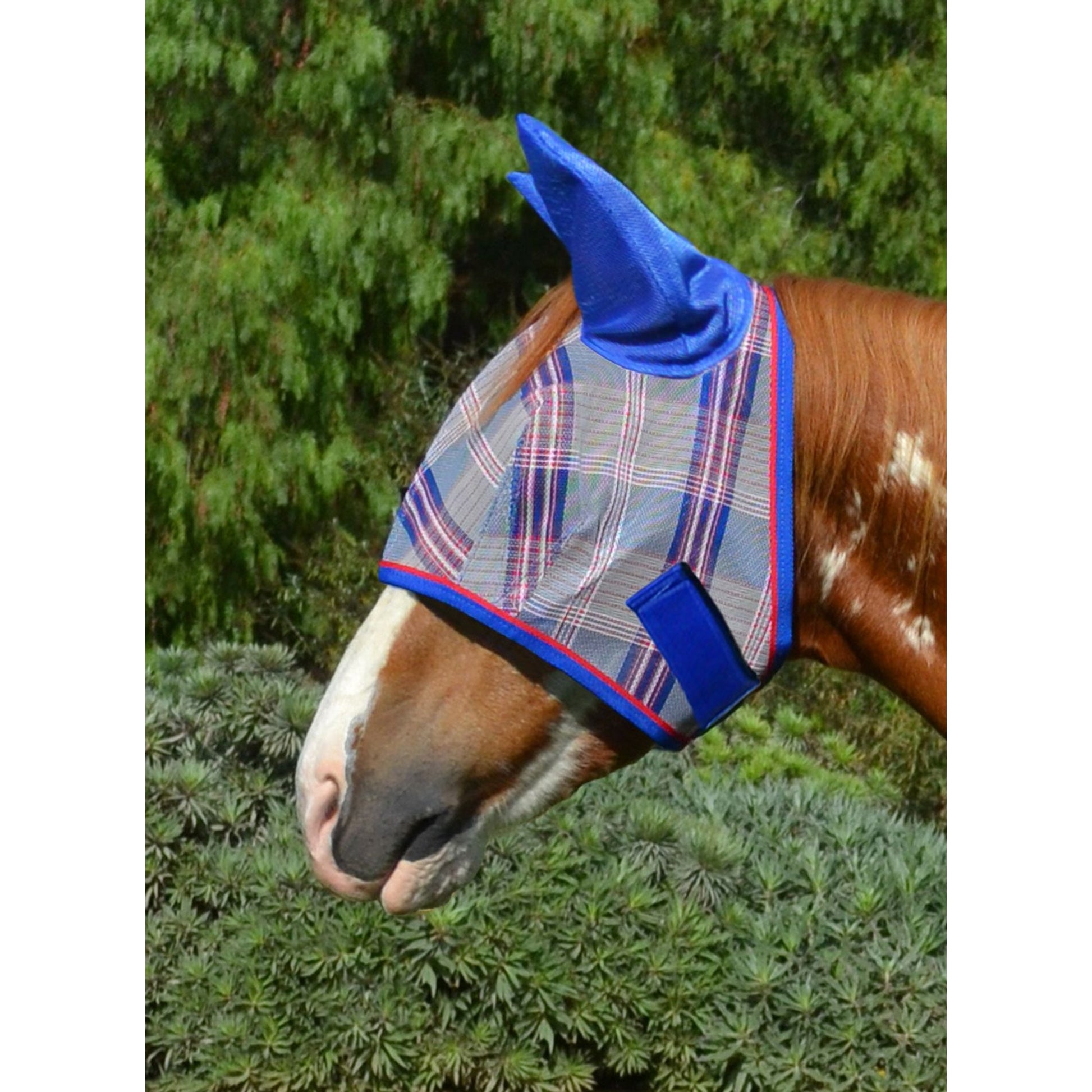 Kensington Fly Mask Web Trim/Ears