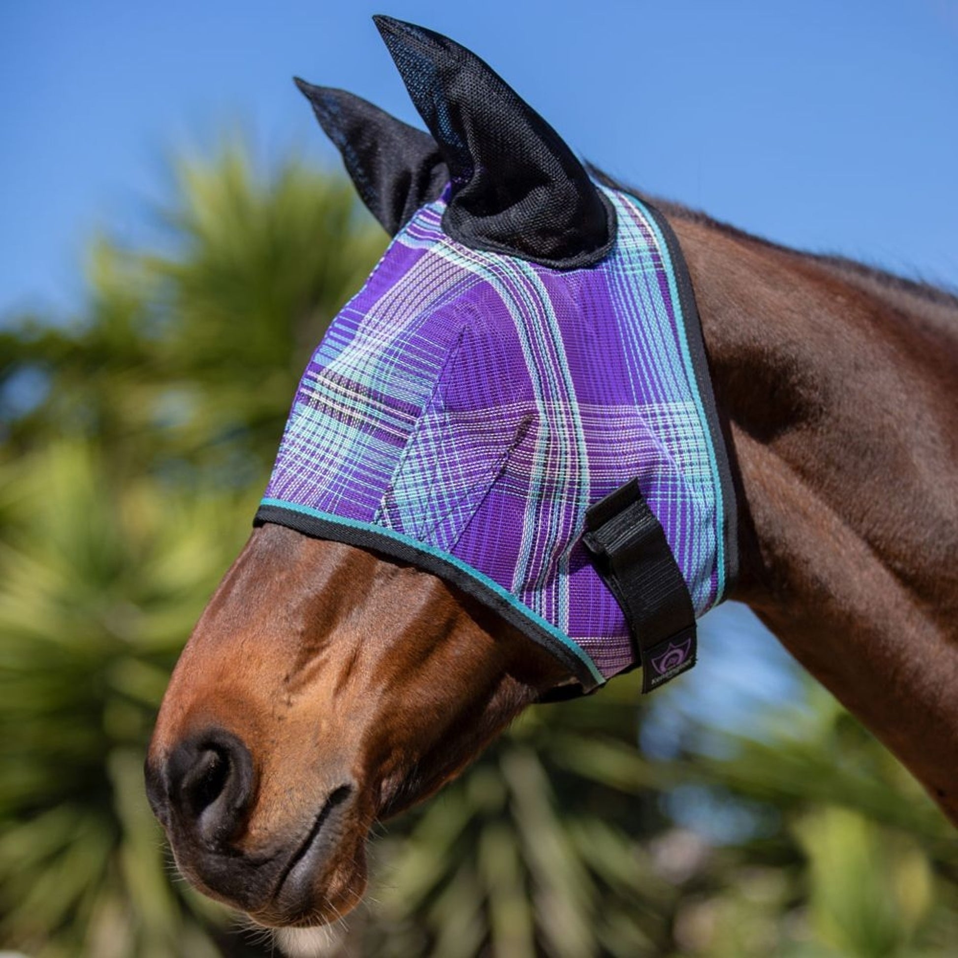 Kensington Fly Mask Web Trim/Ears