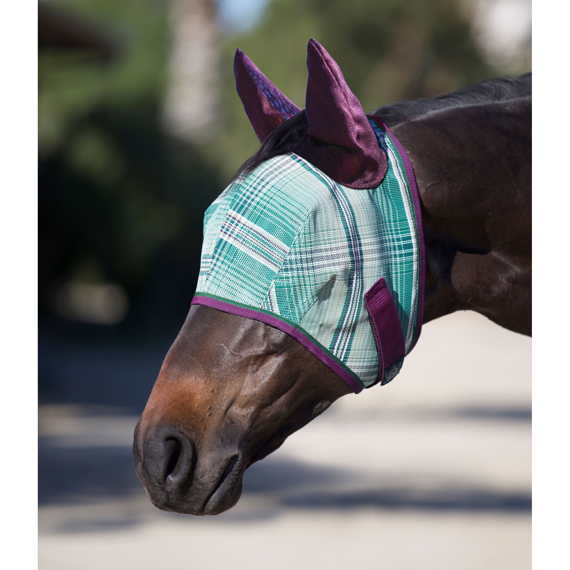 Kensington Fly Mask Web Trim/Ears