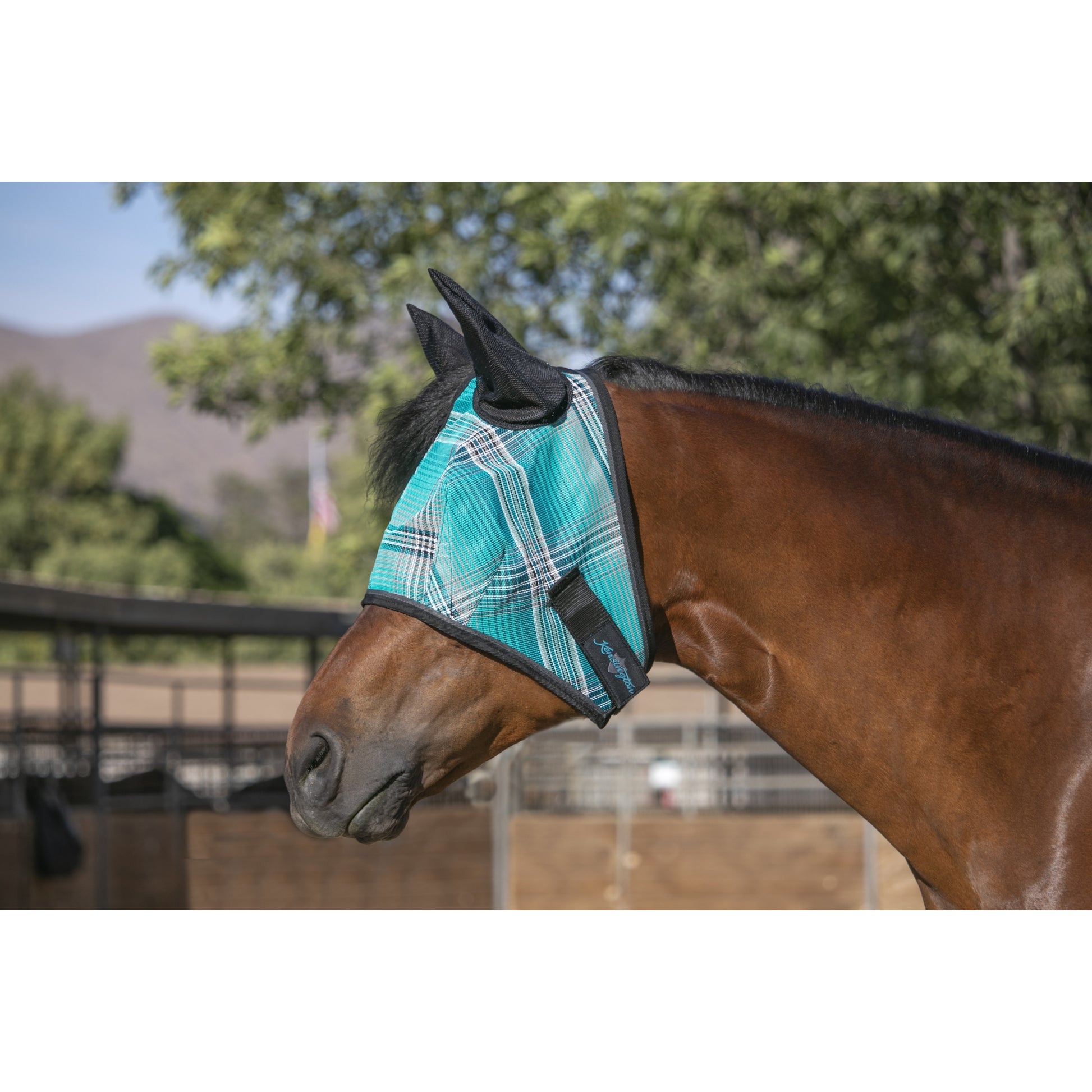 Kensington Fly Mask Web Trim/Ears