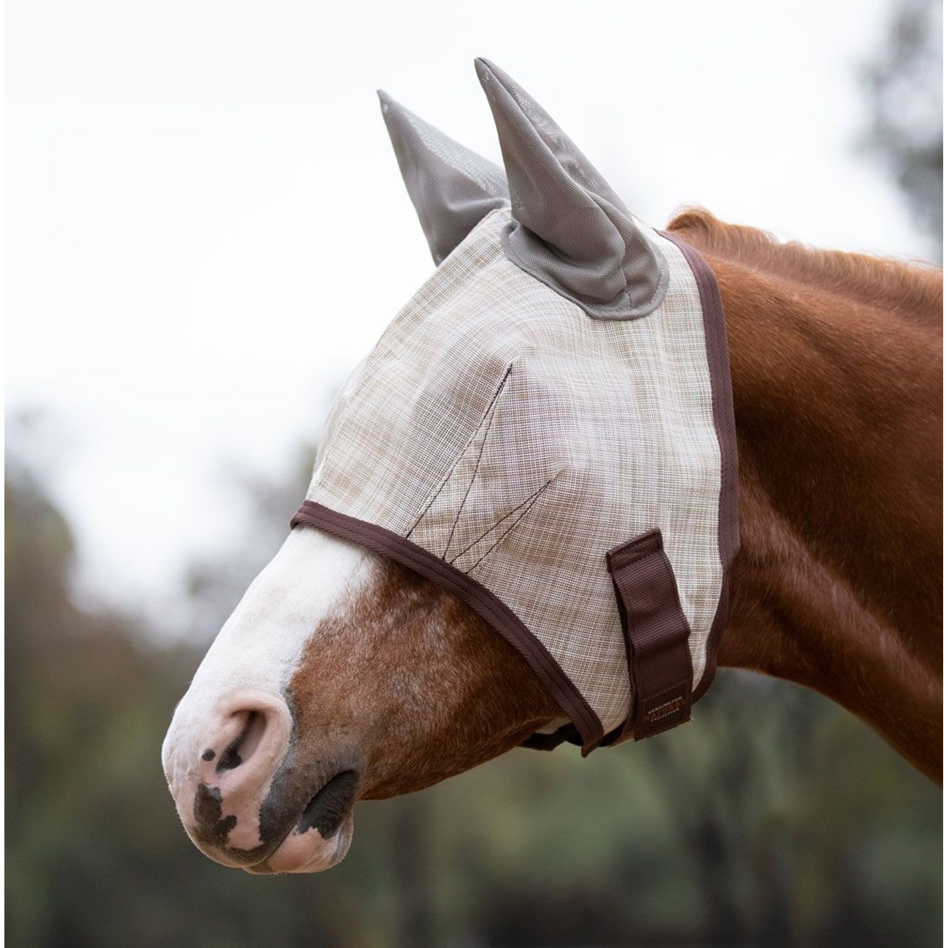 Kensington Fly Mask Web Trim/Ears