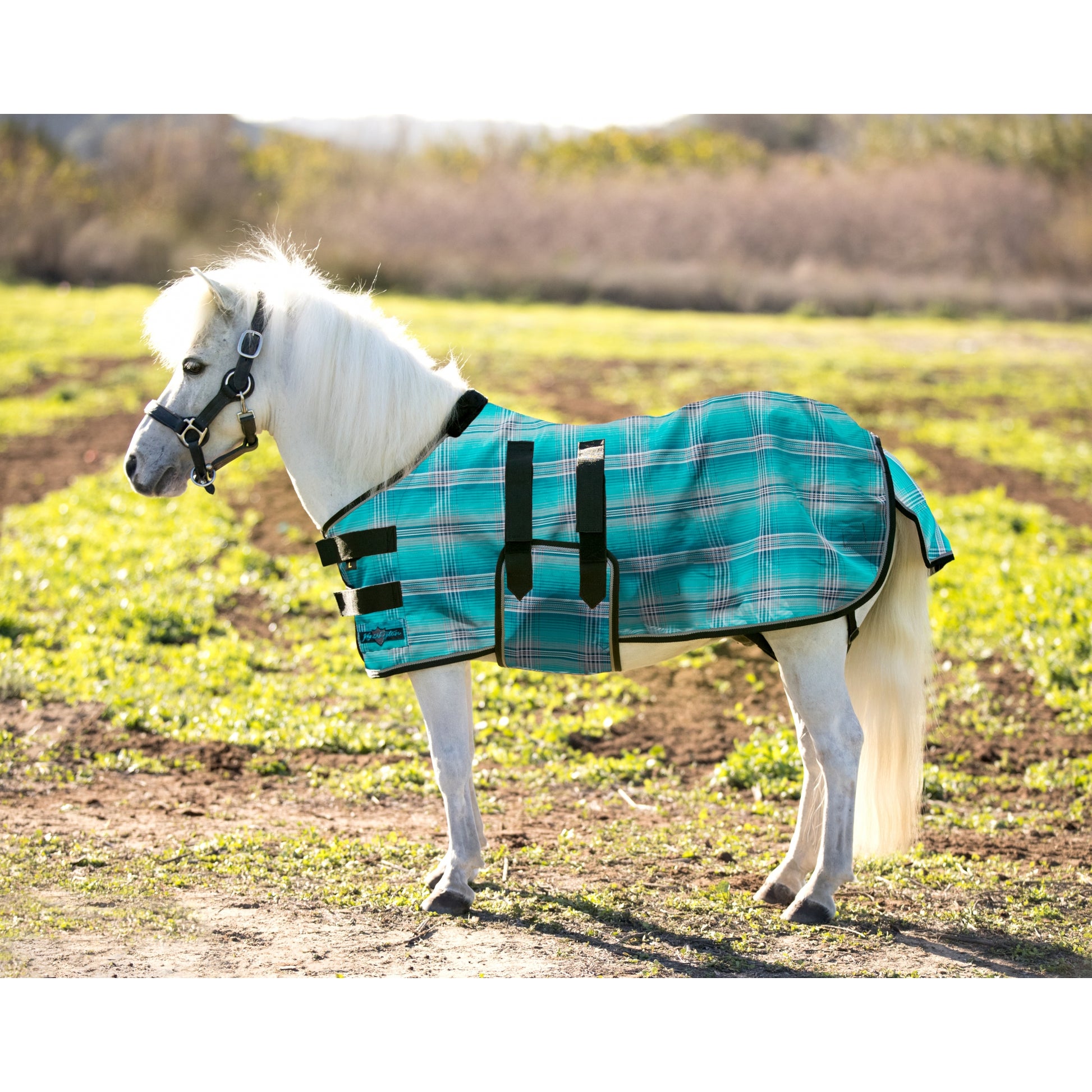 Kensington Protective Sheet Mini