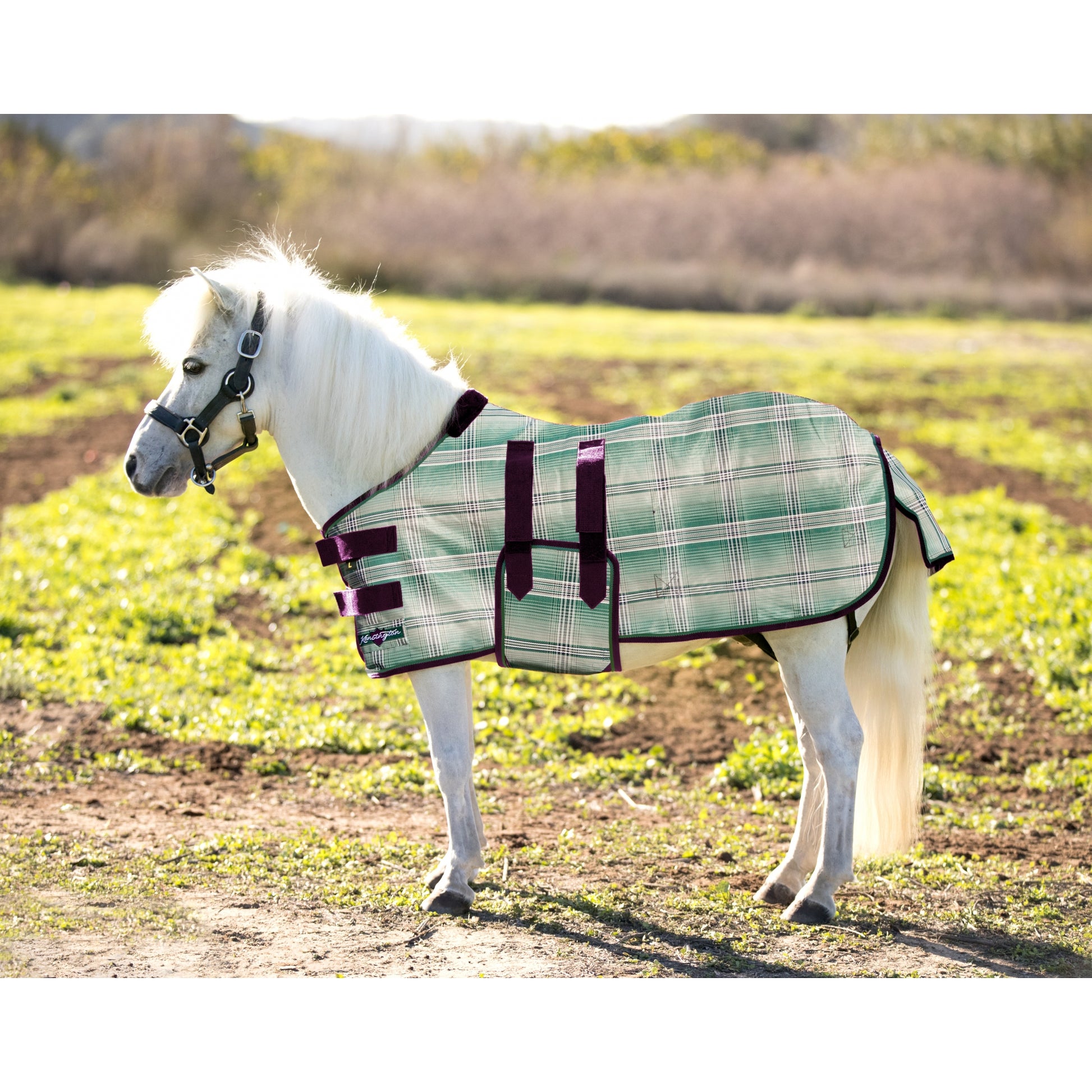 Kensington Protective Sheet Mini