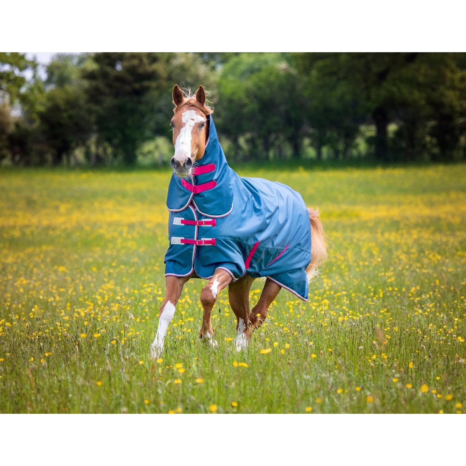 Shires Tempest Org Lite Hood