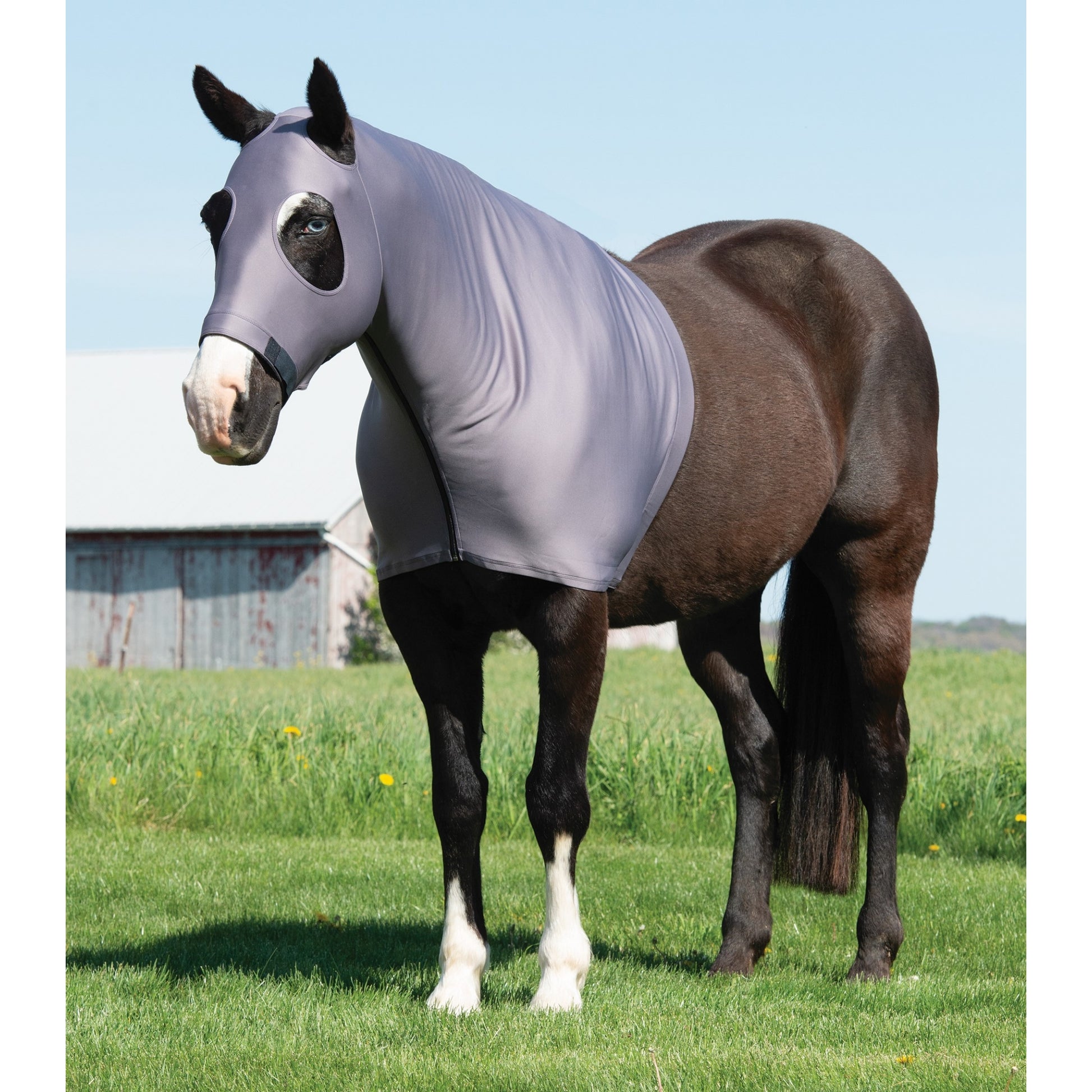 Equine Lycra Hood Powered by Coolcore