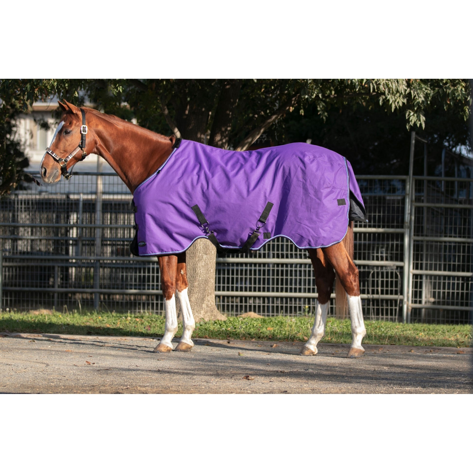Kensington 1200D Turnout 300g