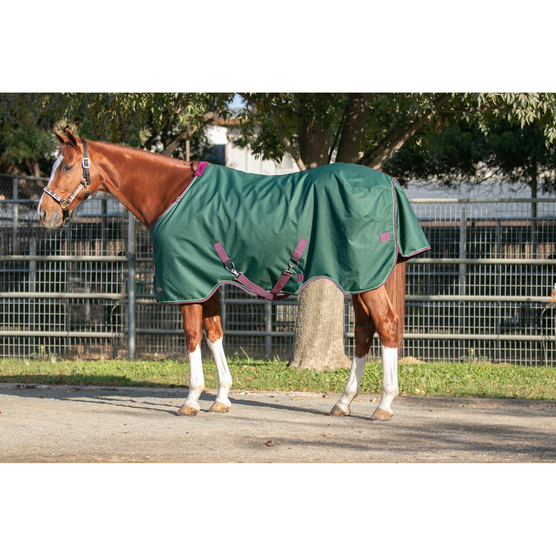 Kensington 1200D Turnout 300g