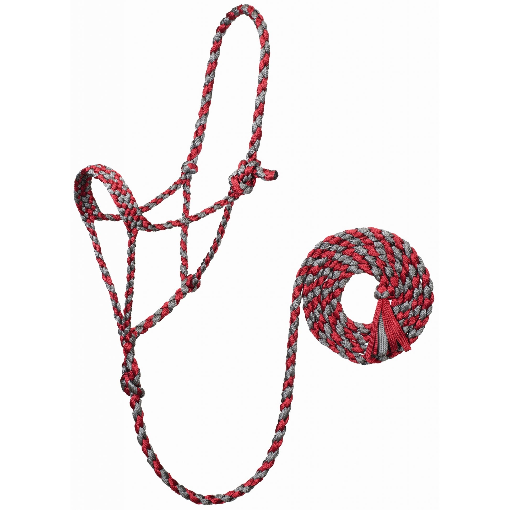 Weaver Braided Rope Halter with 10' Lead