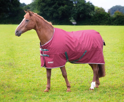 Shires Mini Highlander 200g TO
