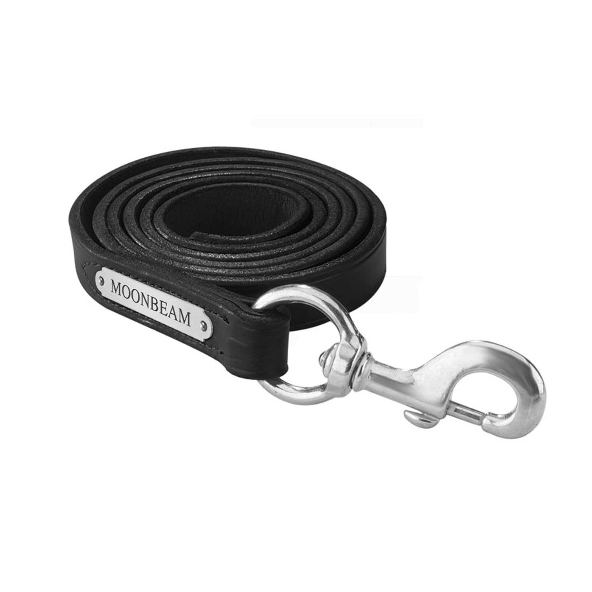 Perri's Personalized Leather Lead with Snap