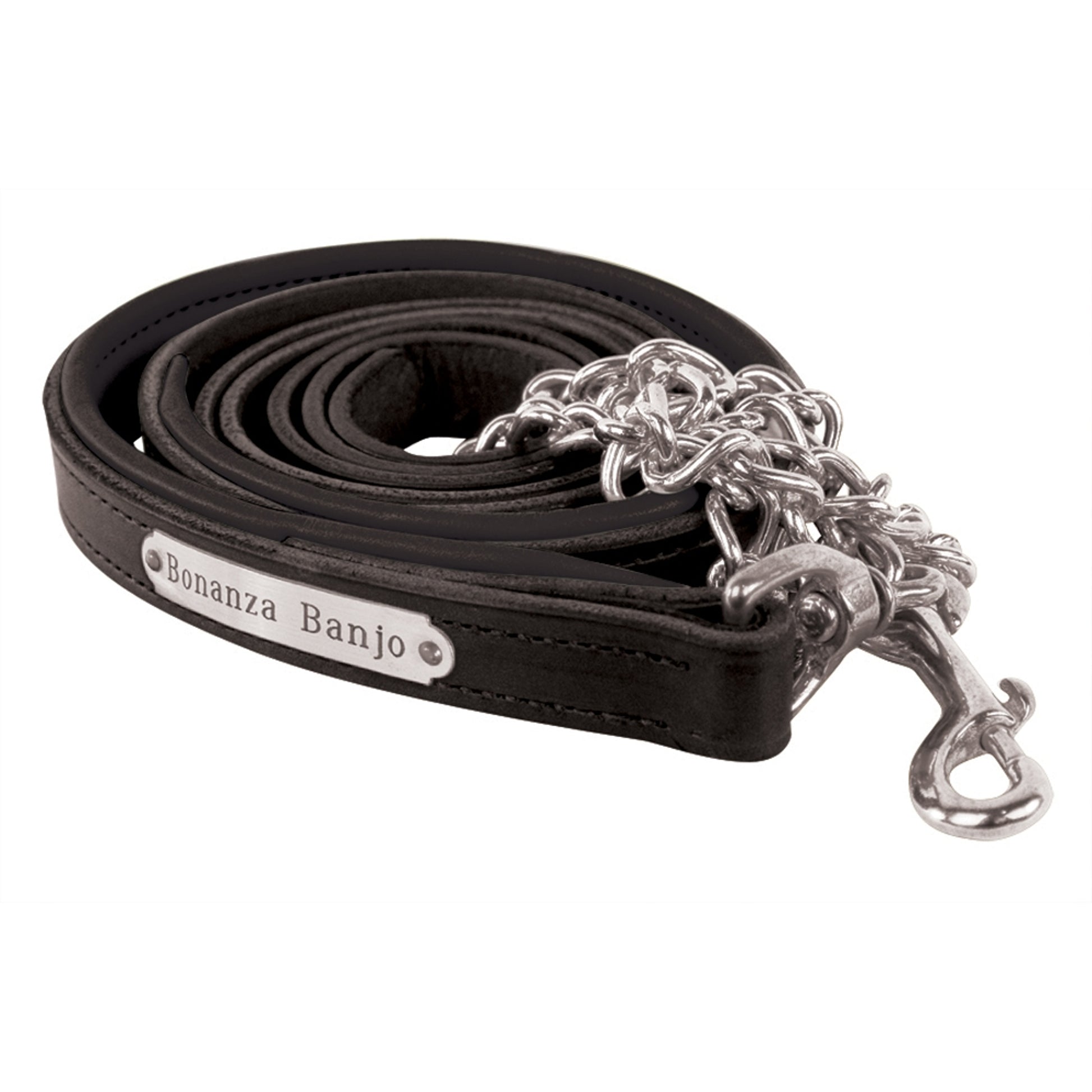 Perri's Personalized Padded Leather Lead with Chain