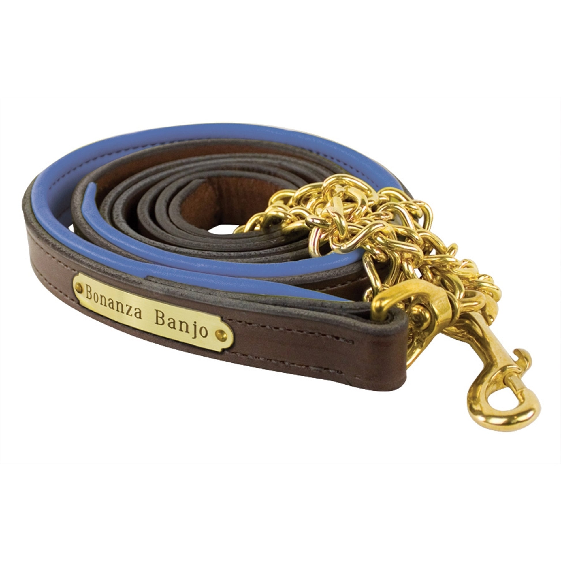 Perri's Personalized Padded Leather Lead with Chain