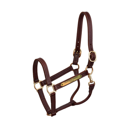 Perri's Personalized Professional Halter