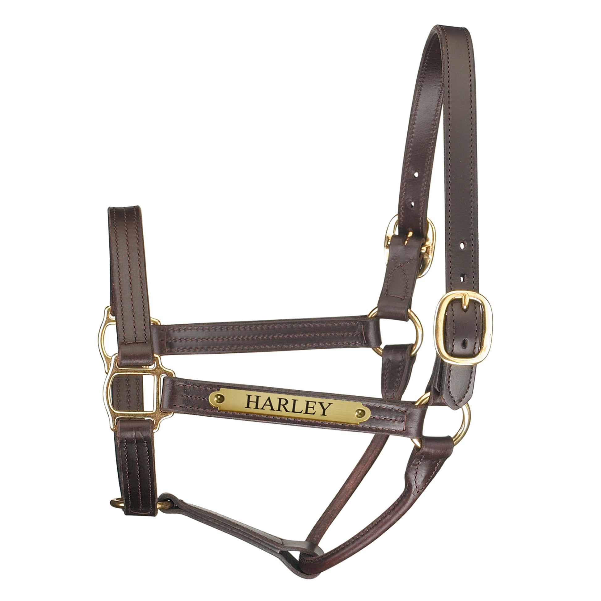 Perri's Personalized Premium Track Halter