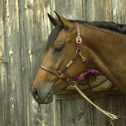 Perri's Personalized 3/4" Premium Show Halter